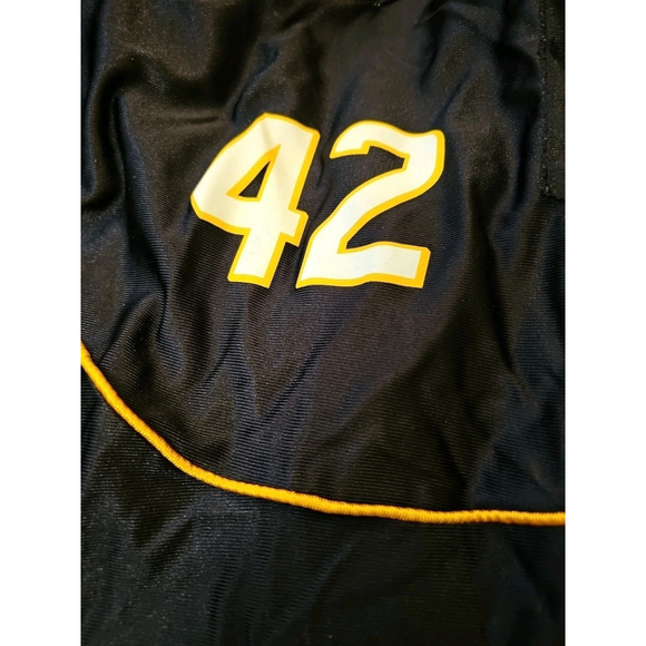 Vintage Rob Hitchcock #42 Hamilton Tiger-Cats Reebok CFL Jersey Adult Size XL - Picture 15 of 16